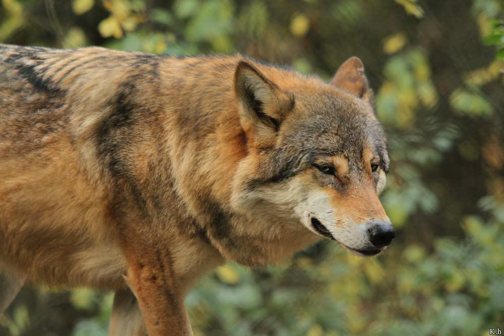 Olderdissen1210Kati_Ronja-15