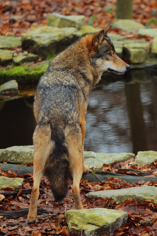 Olderdissen1302Kati_Smilla-19