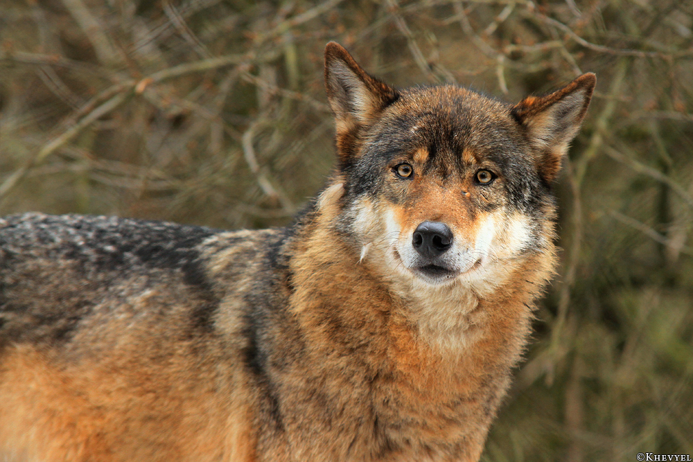 Olderdissen1302Kati_Smilla-35