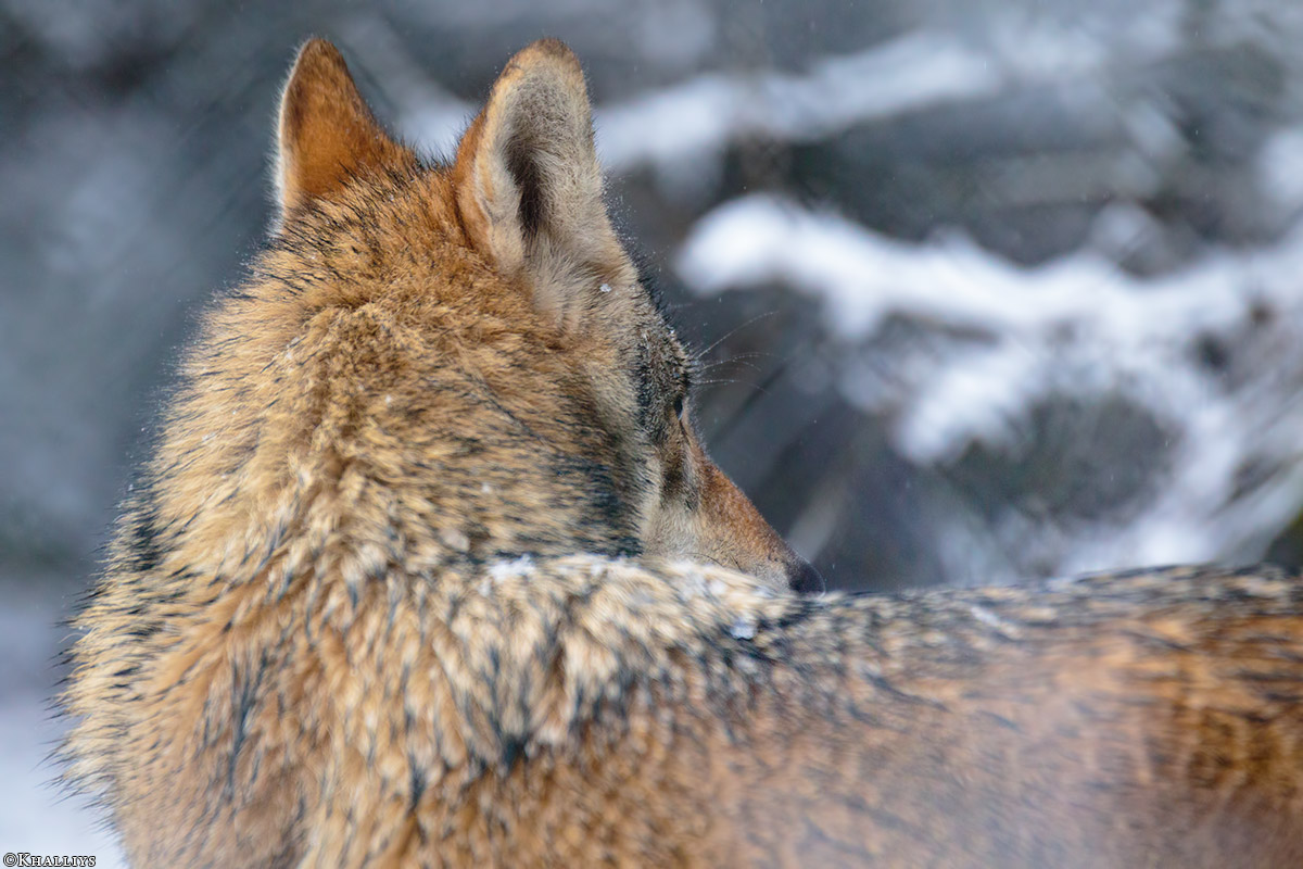 Olderdissen1802Kati_Rieke-04