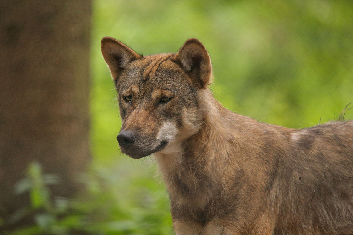 Guestrow1606LinaT_all-12