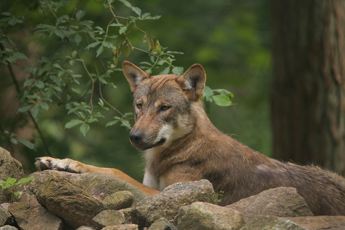 Guestrow1606LinaT_all-28