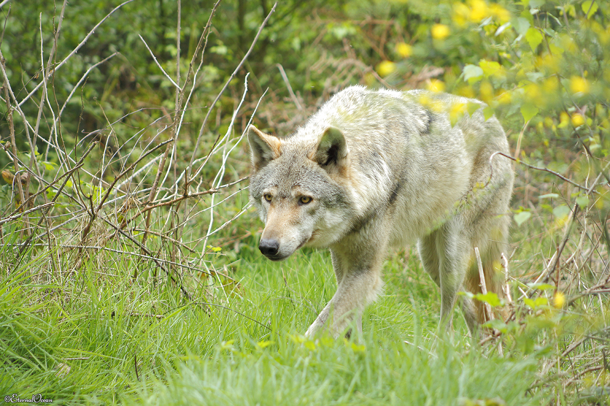 Granat1404Jessi_Mato-05