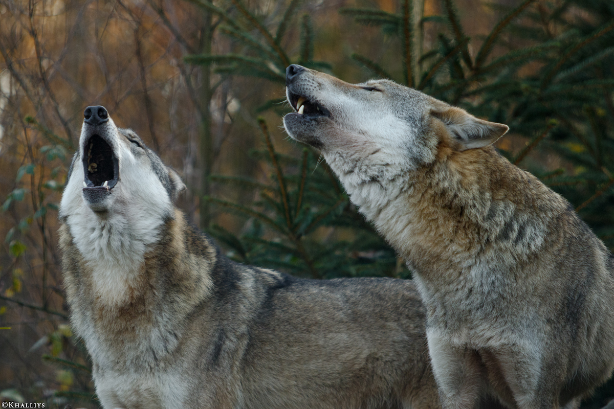 Granat1510Kati_All-04