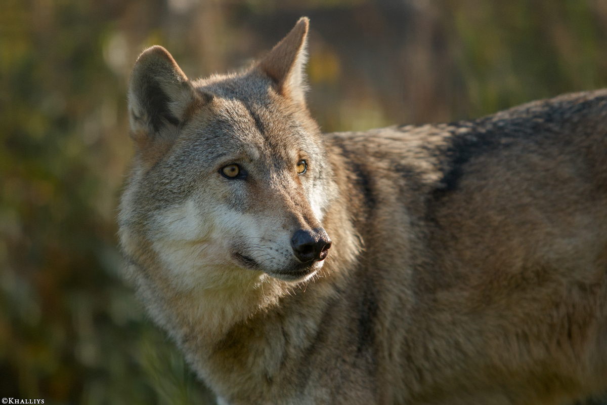 Granat1510Kati_Mato-39