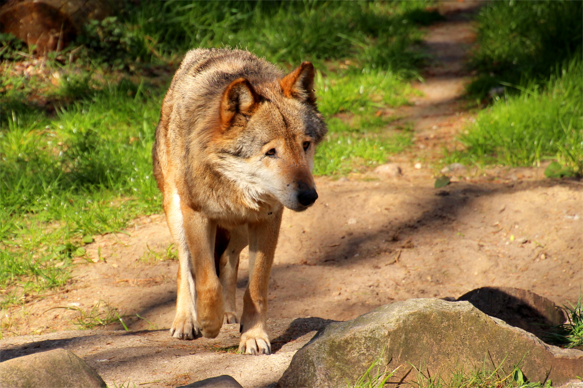 Neumue1504LinaT_Malaika-02