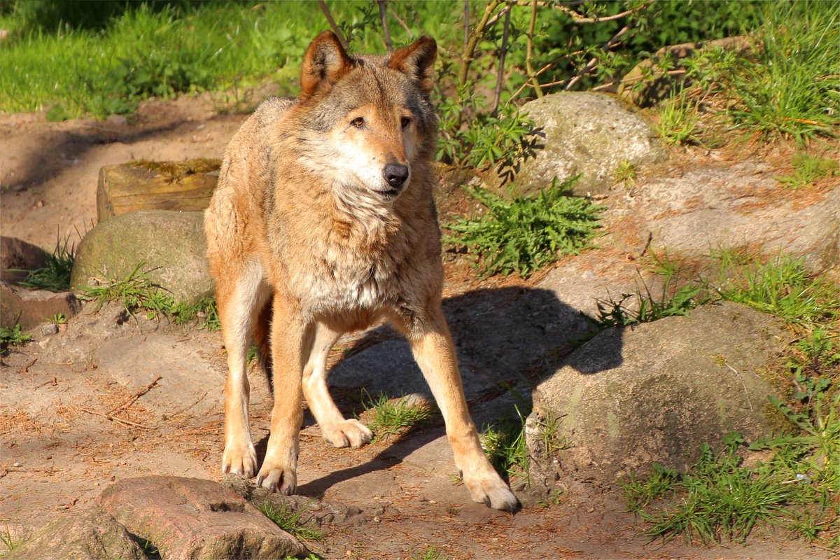 Neumue1504LinaT_Malaika-08