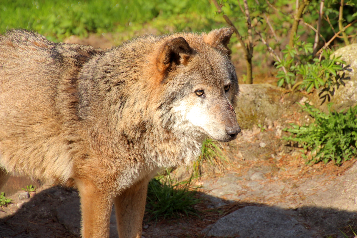 Neumue1504LinaT_Tinka-04