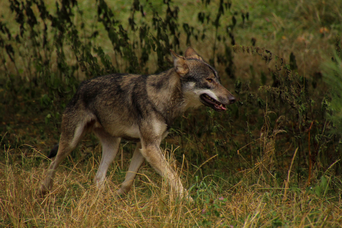 Eekholt1407LinaT_Alex-01