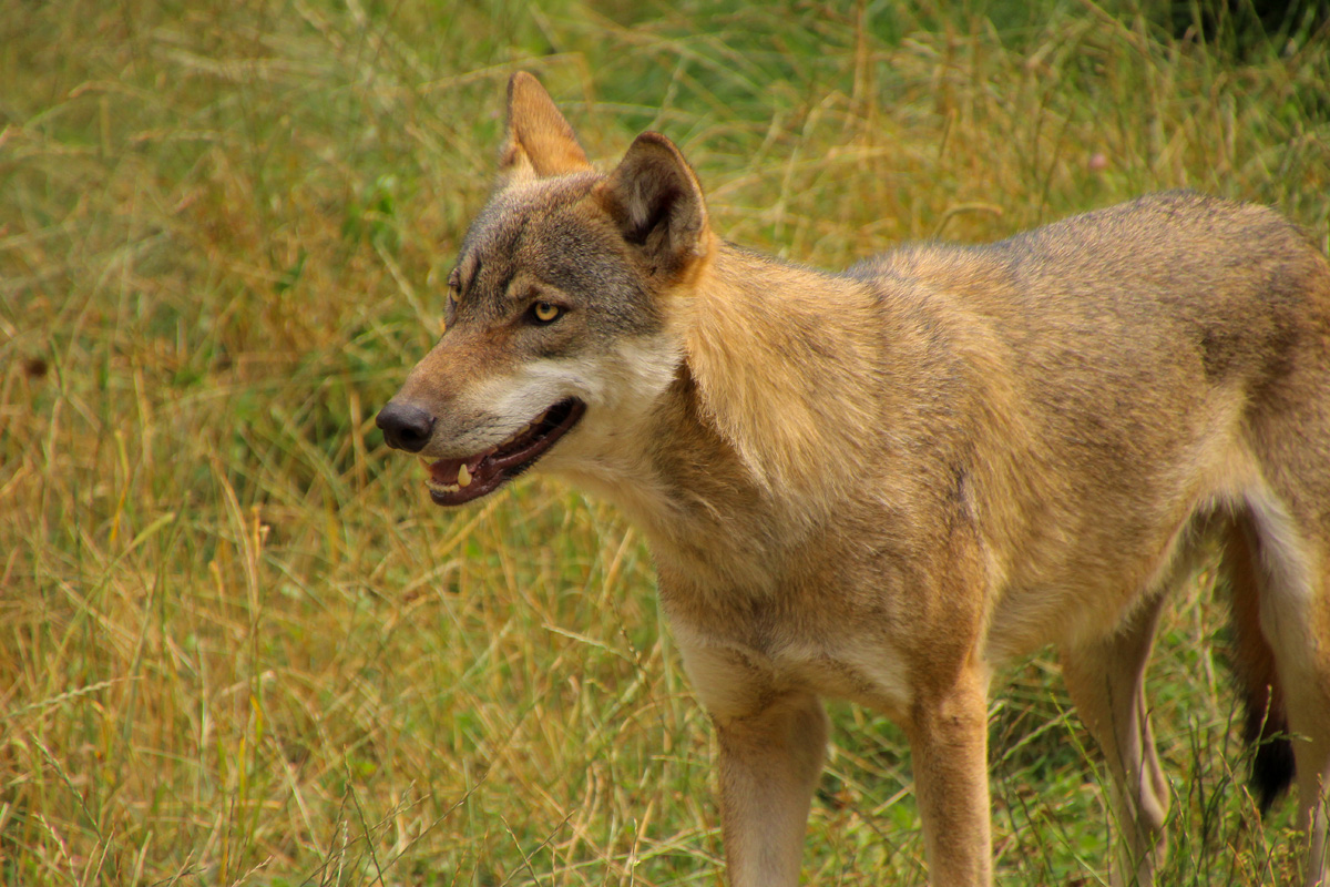 Eekholt1407LinaT_Janosch-16