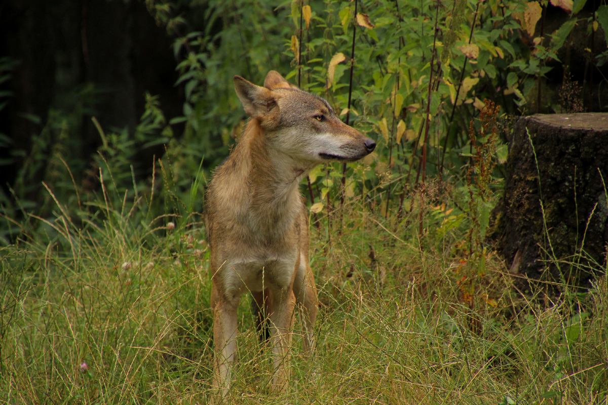 Eekholt1407LinaT_Janosch-18
