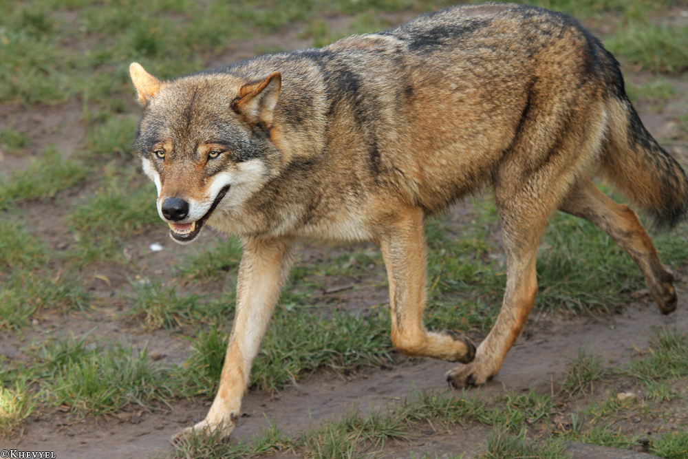 Nordhorn1402Kati_Remus-05