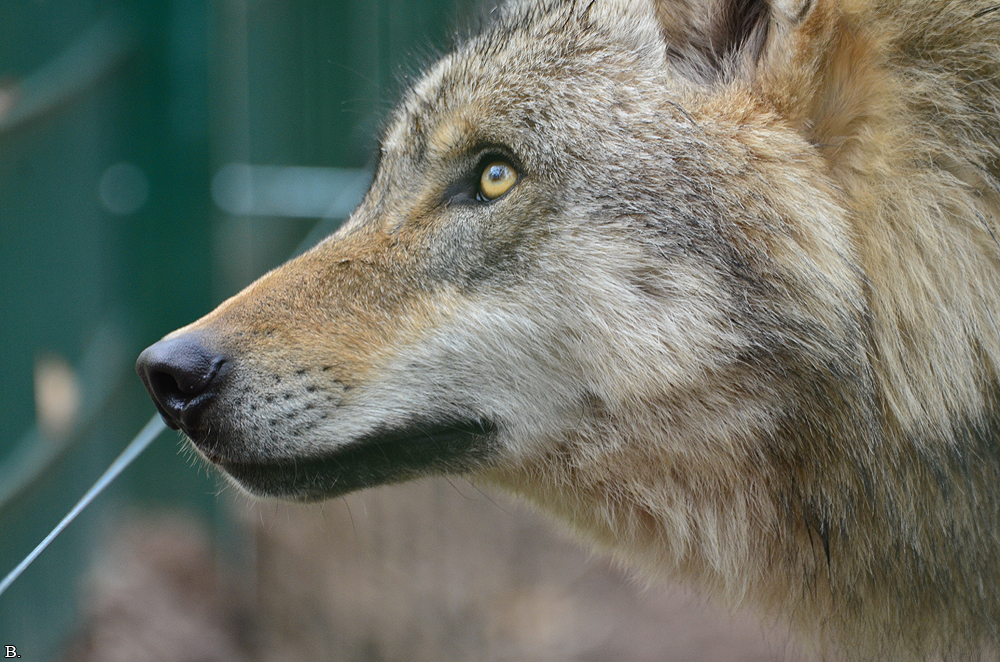 Verden1206BineG_All--13