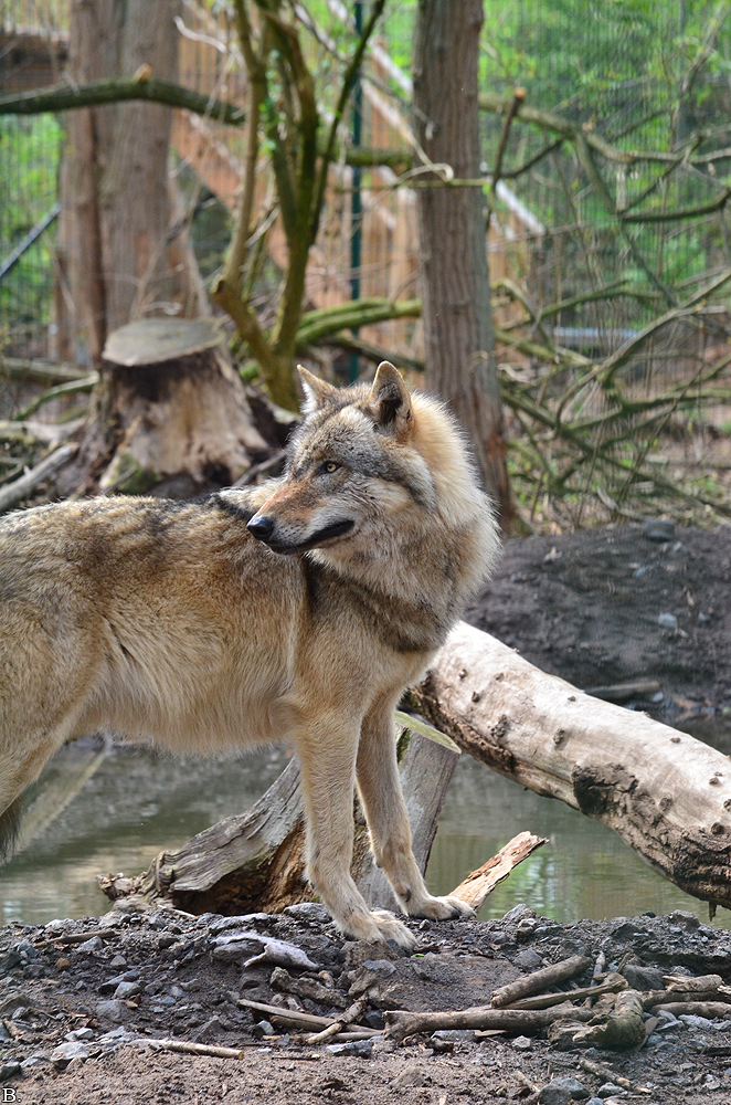 Verden1206BineG_All--31