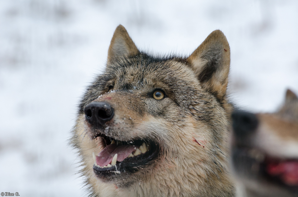 Verden1301BineG_All-25