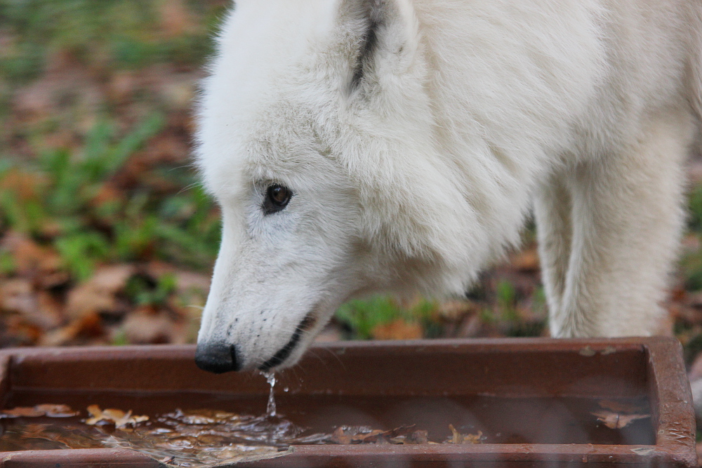 Auheim1411Elli_Ayla-02