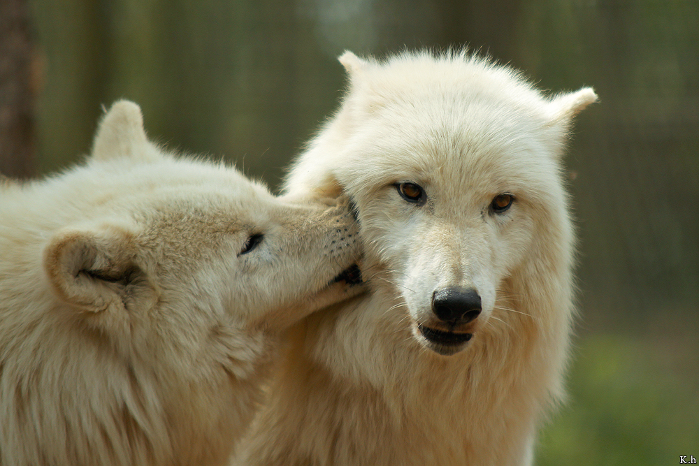 Kati_Luneburg1205_All-02