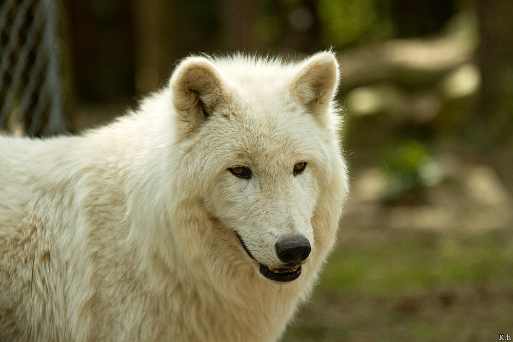 Kati_Luneburg1205_Nan-09