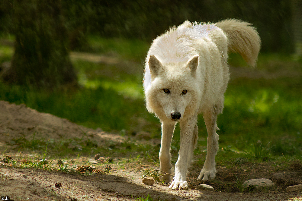 Kati_Luneburg1205_Nor-07