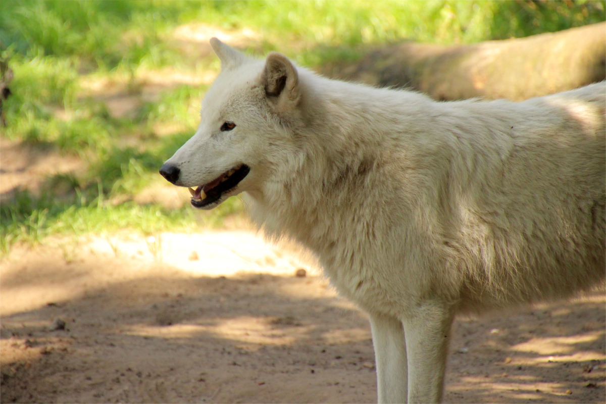 ZooBerlin1408LinaT_all-04