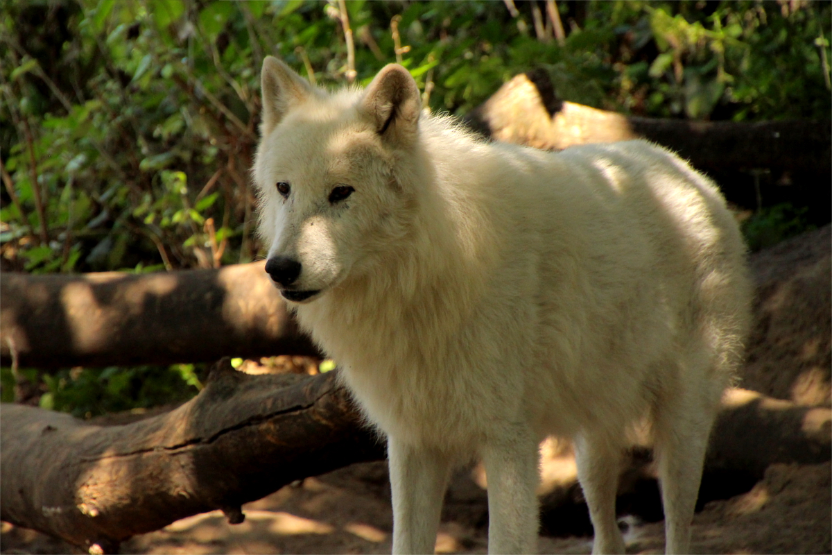 ZooBerlin1408LinaT_all-10