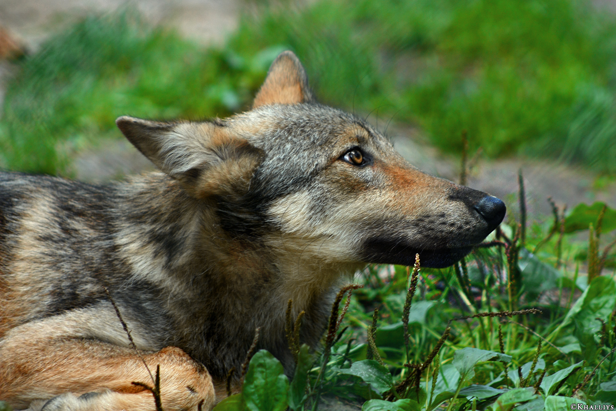 Pup3m10LueneburgKati_Ole-04