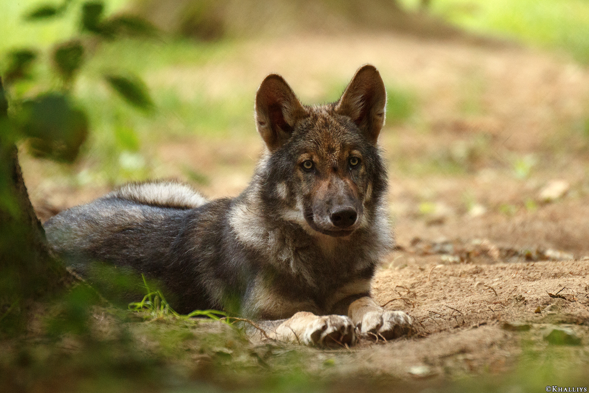 Pup3m17LueneburgKati_Kolja-02