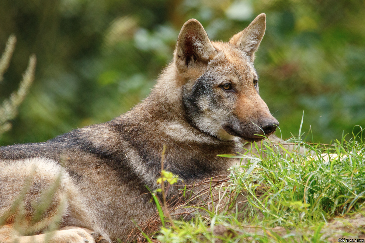 Pup3m17LueneburgKati_Vasja-03