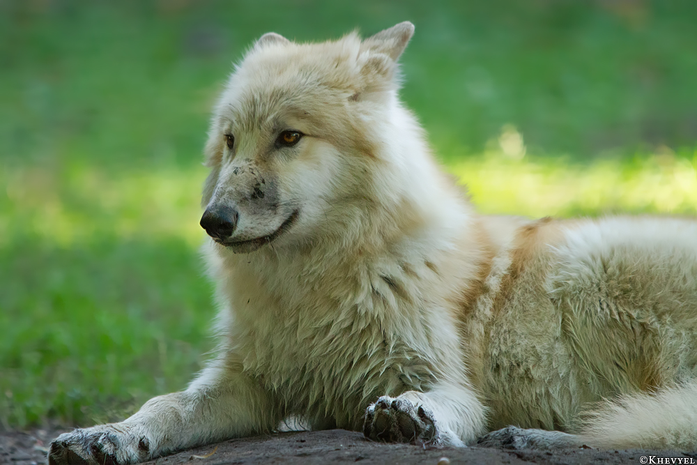 Pup5m13DuisburgKati_07