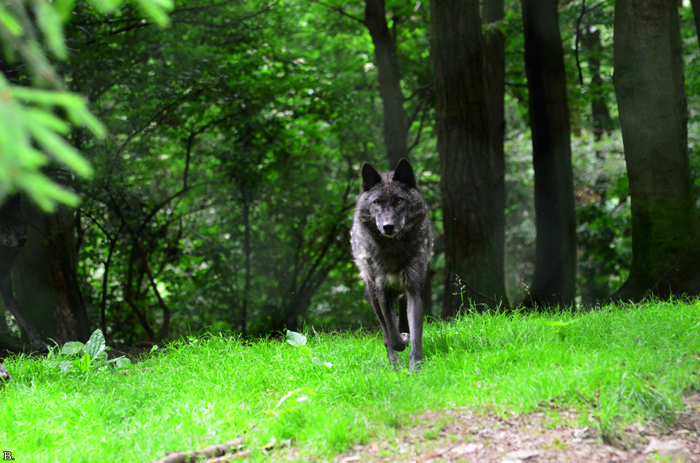 Edersee1207BineG_All--08