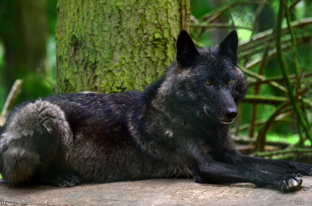 Edersee1207BineG_Kamaal--06