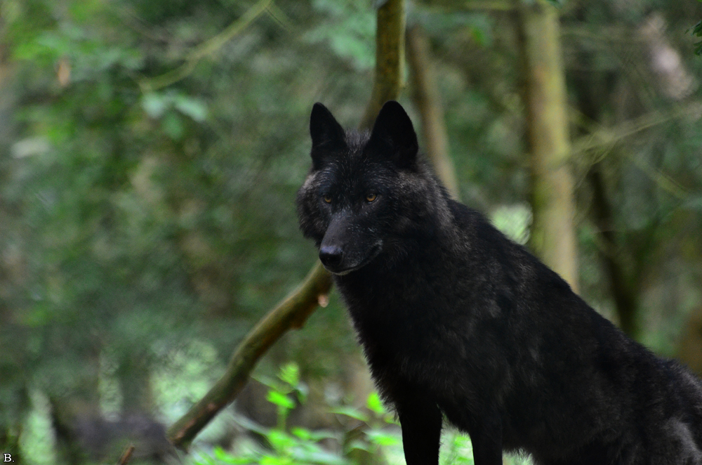 Edersee1207BineG_Kamaal--21