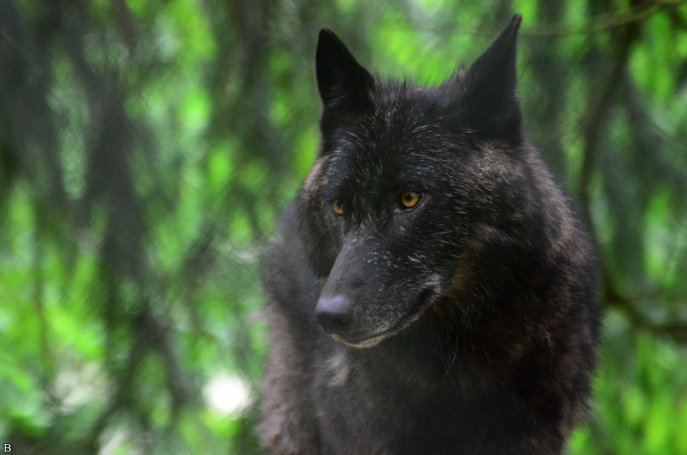 Edersee1207BineG_Kamaal--34