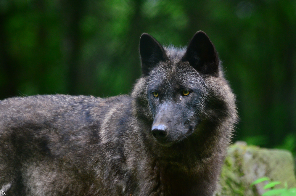 Edersee1207BineG_Xelha--06