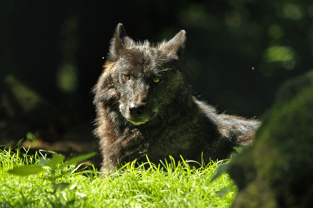 Edersee1206Kati_Kamaal-09