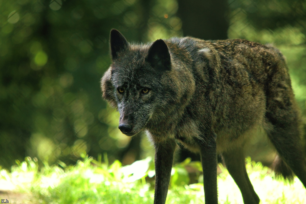 Edersee1206Kati_Silya-03