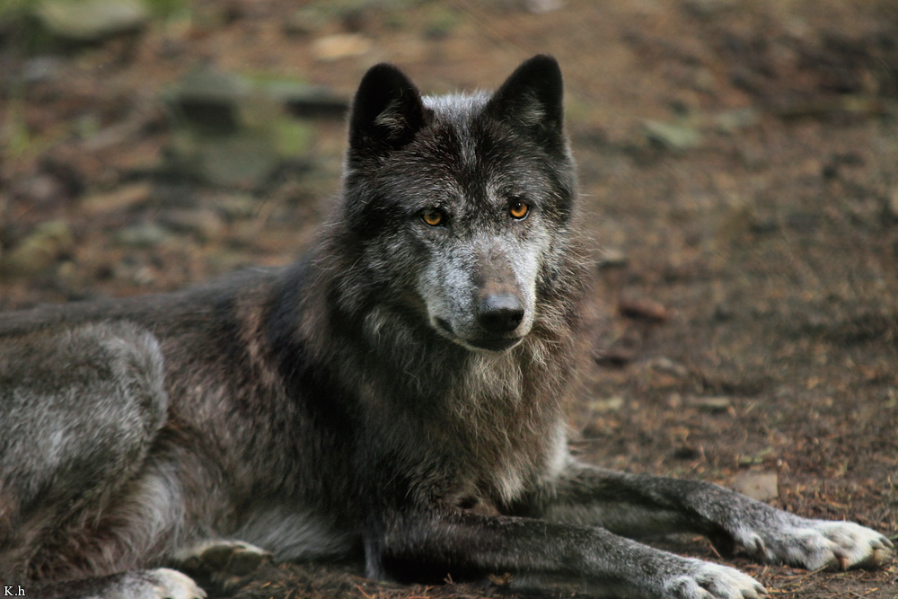 Edersee1208Kati_Aneyra-05