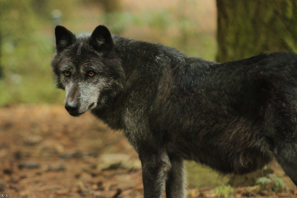 Edersee1208Kati_Aneyra-09