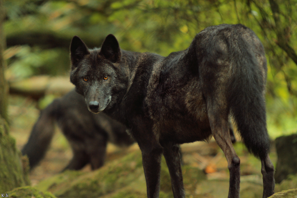 Kati_Eder1208_Kamaal-16