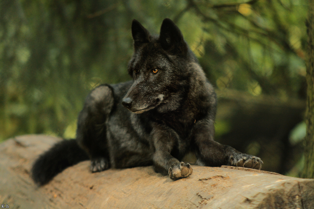 Kati_Eder1208_Kamaal-19