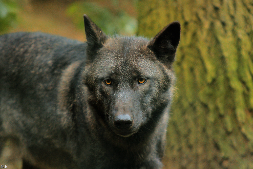 Kati_Eder1208_Xelha-10