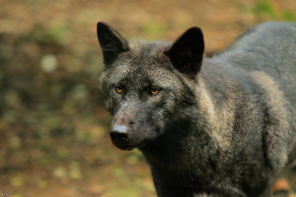 Kati_Eder1208_Xelha-11