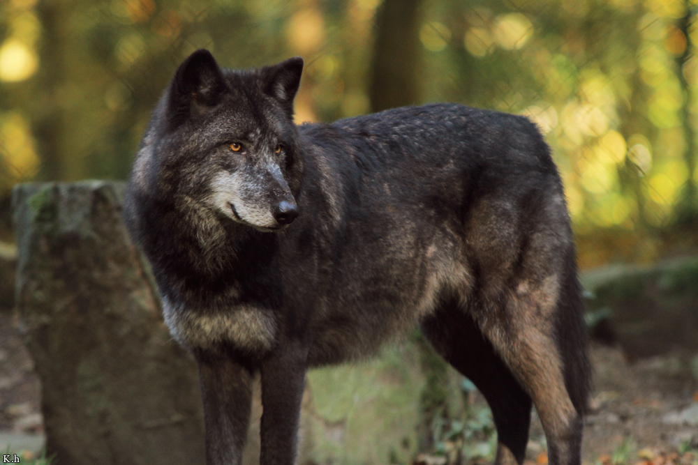 Kati_Eder1210_Chayim-03