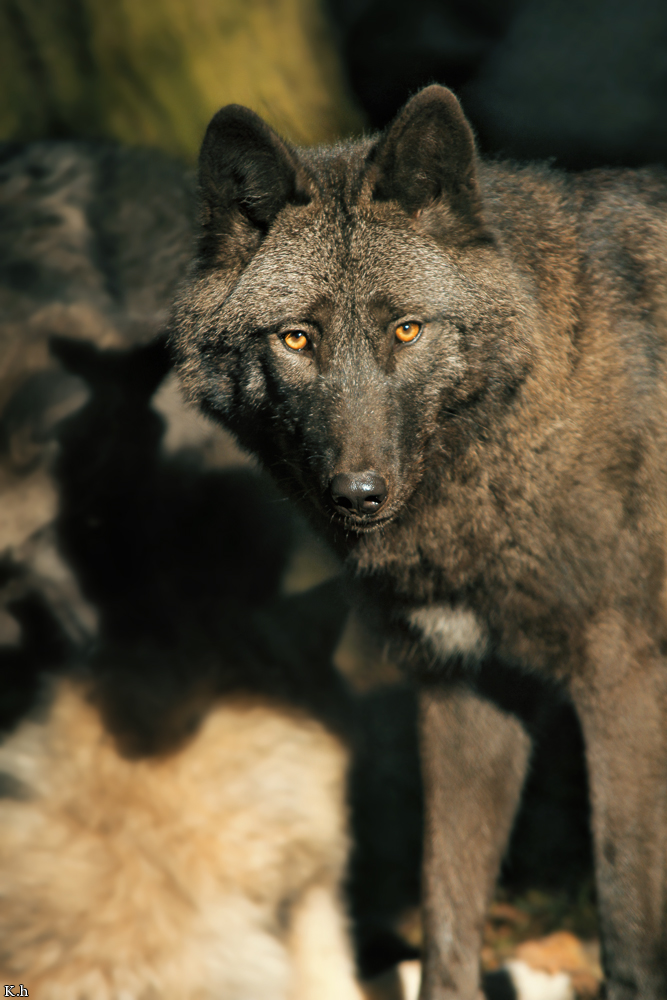 Kati_Eder1210_Xelha-05