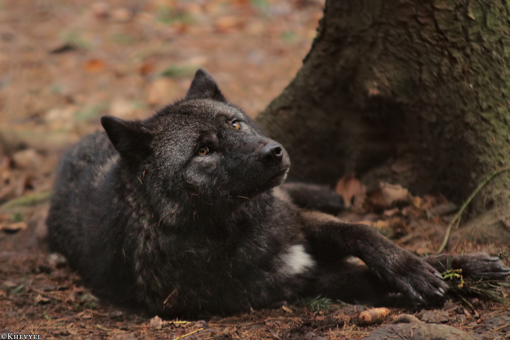 Kati_Eder1401_Xelha-05