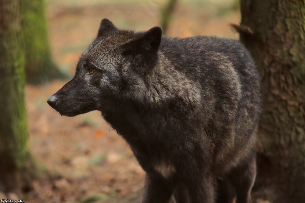 Kati_Eder1401_Xelha-06