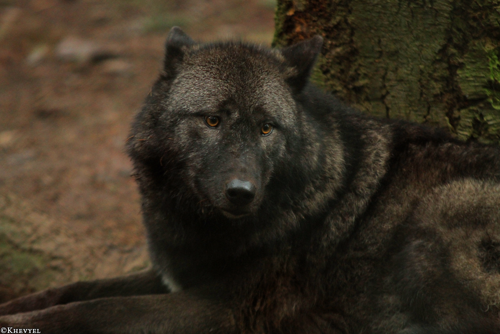 Kati_Eder1401_Xelha-10