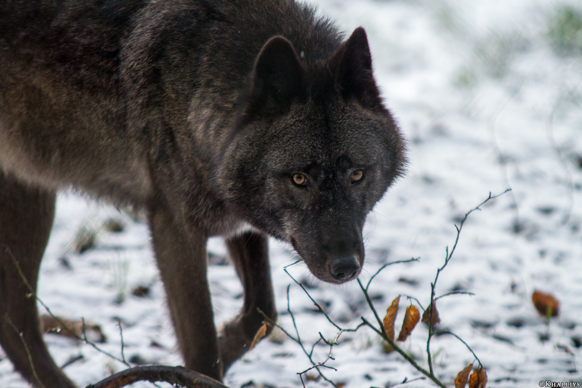 Kati_Eder1412_Xelha-02