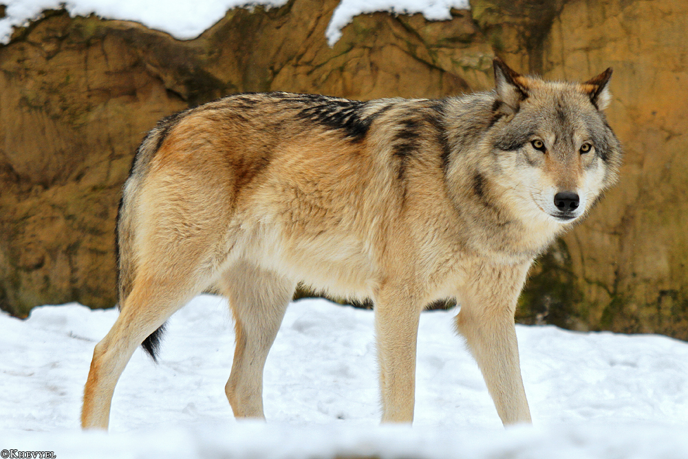 Luneburg1303Kati_Ole-15