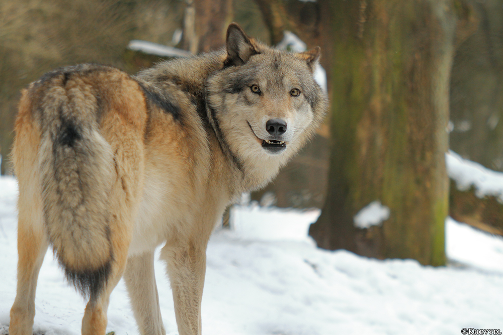 Luneburg1303Kati_Ole-41